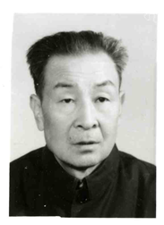 杨迈